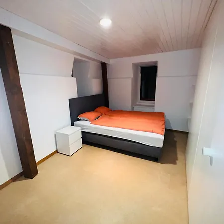 Haus Simplon Apartment Naters